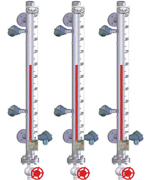防腐型磁翻板液位計(jì)